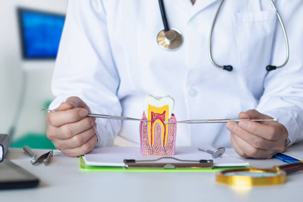 Best Emergency Broken Tooth Repair in Spring Valley, IL
